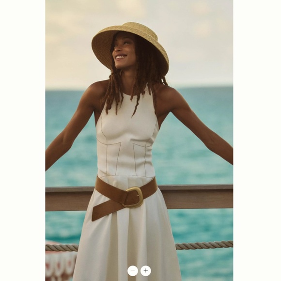 Anthropologie The Kenzie Drop-Waiste Midi Dress - Picture 5 of 5